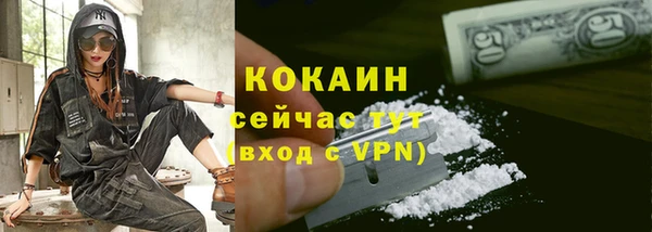 прущие грибы Армянск