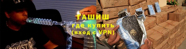 прущие грибы Армянск