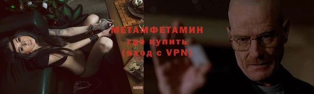 прущие грибы Армянск