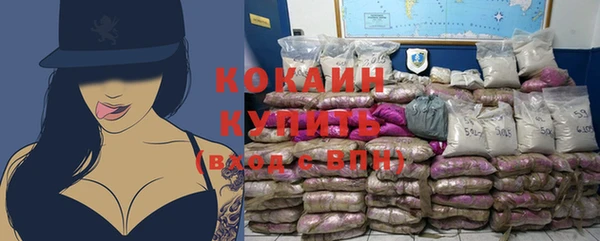 прущие грибы Армянск
